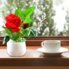 4863 Artificial Rose Flower Plant With Pot, For Home Office Or Gift - Image 5