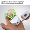 0239 NIGHT LIGHT MUSHROOM LAMP (COLORFUL) - Image 4